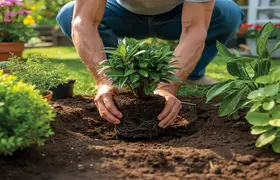 healthy garden plant